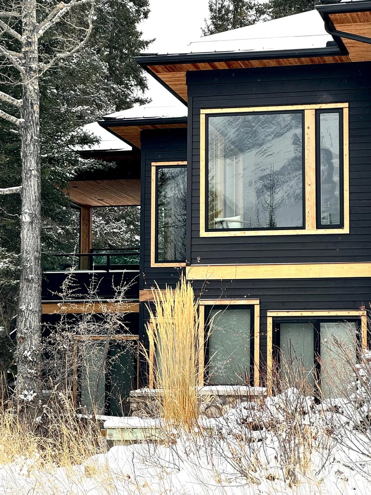 Modern black house with large windows and wooden framing, surrounded by snow and winter trees.