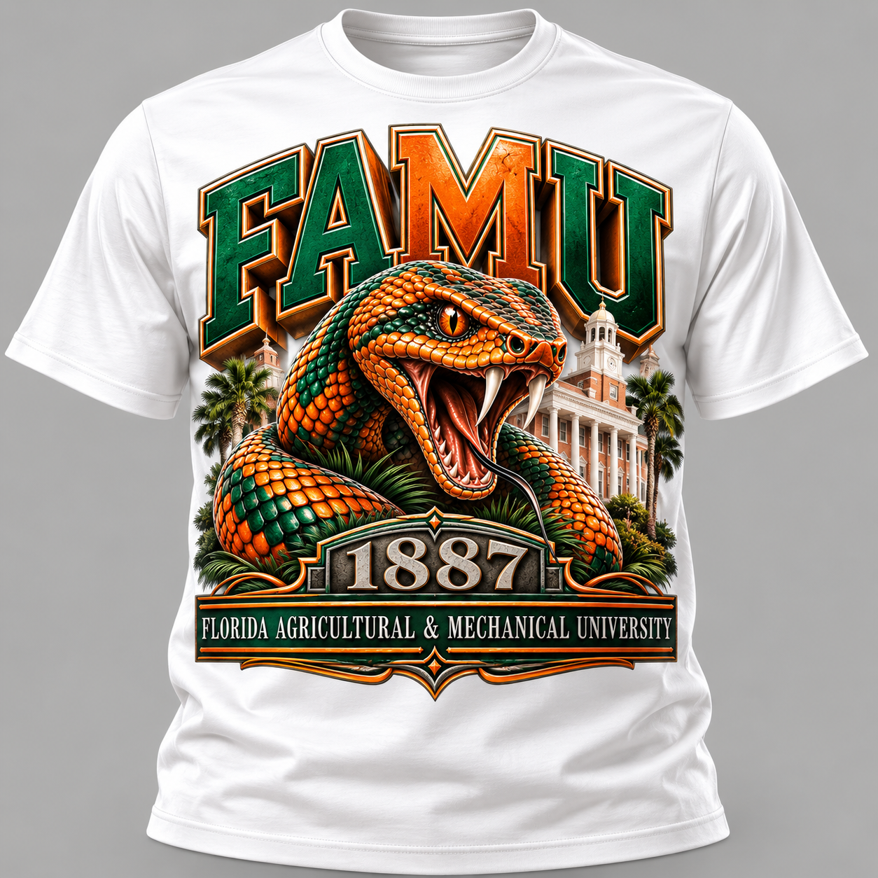 FAMU 1.png