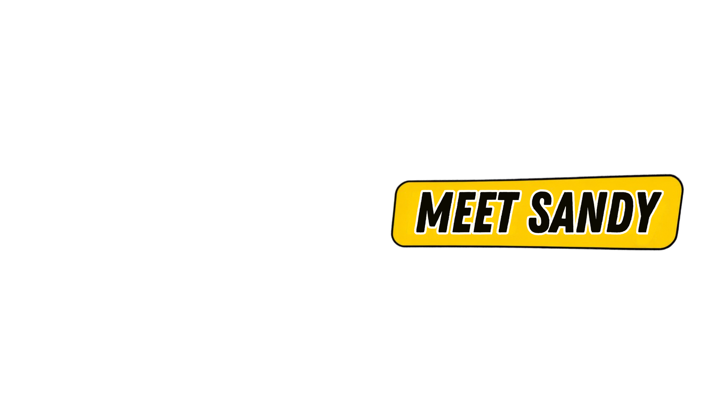 Black background with yellow and black text that reads 'Meet Sandy' in the bottom right corner.