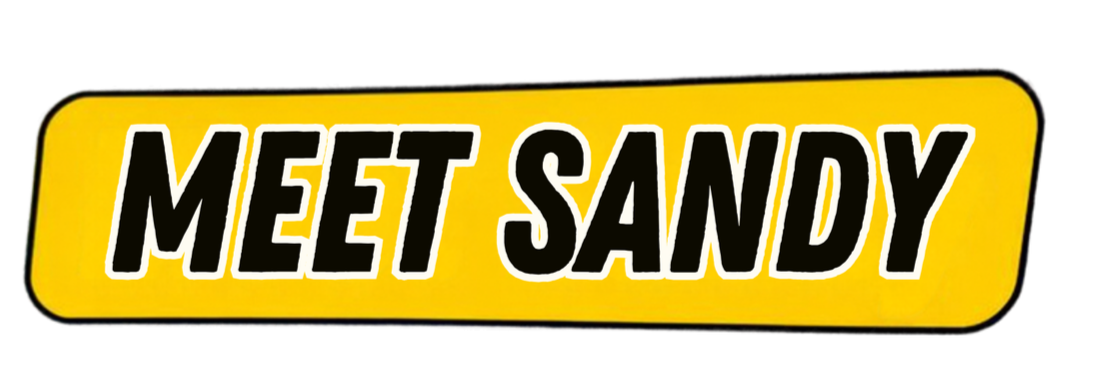 Yellow sign with black outline and bold white and black text reading "Meet Sandy"