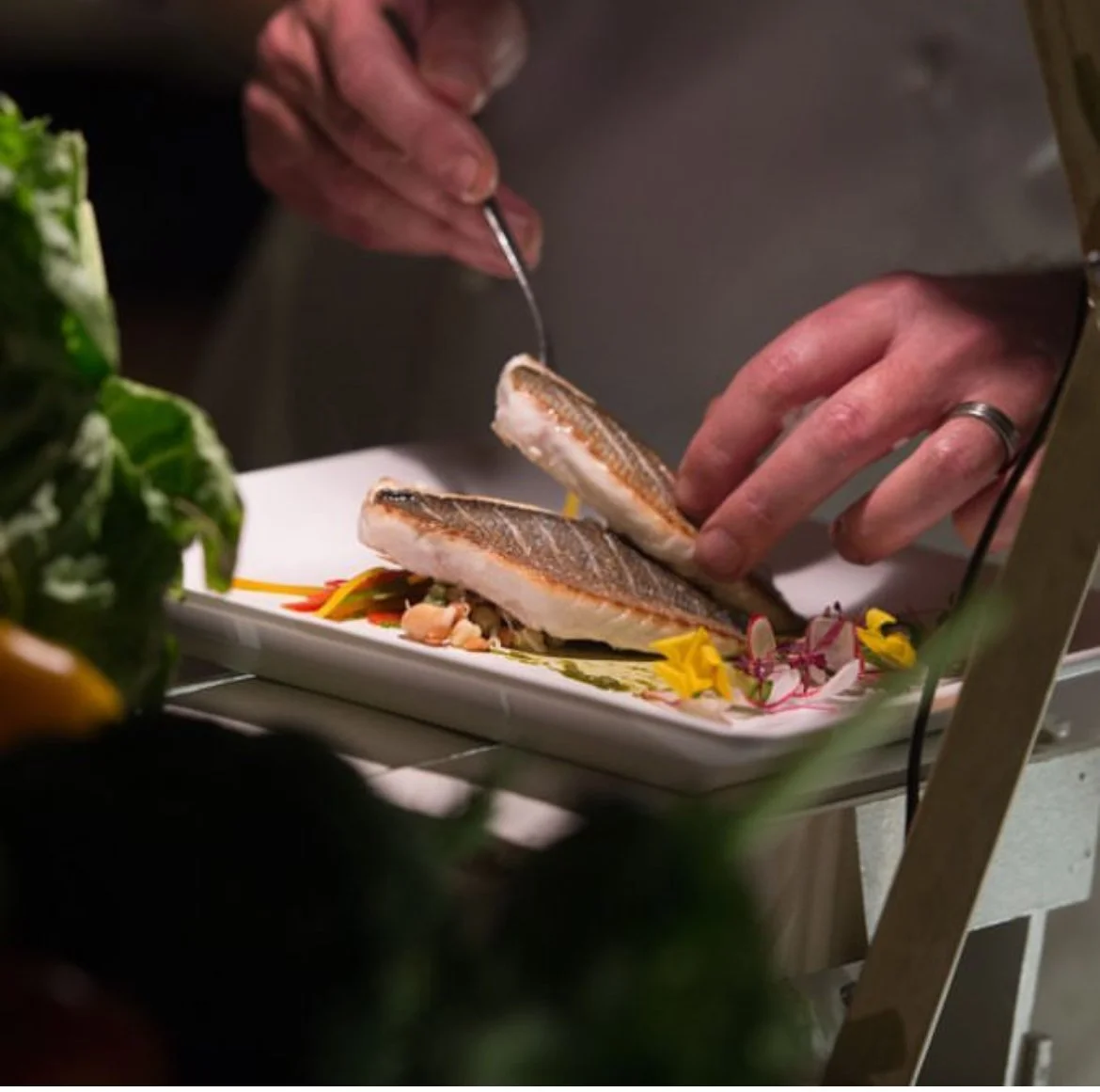 Chef plating pan-seared sea bass