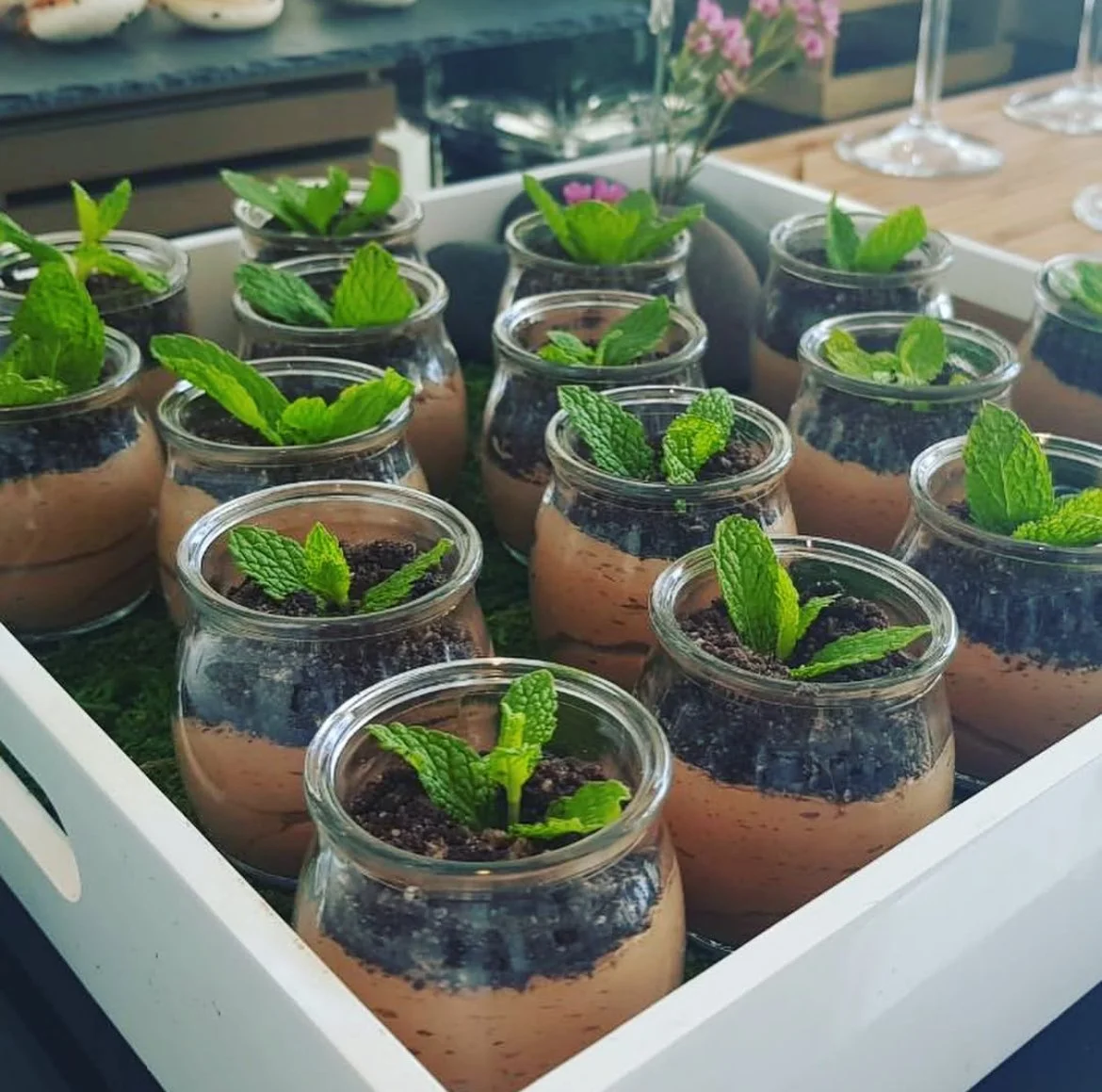Chocolate mousse pots topped with fresh herb shoots