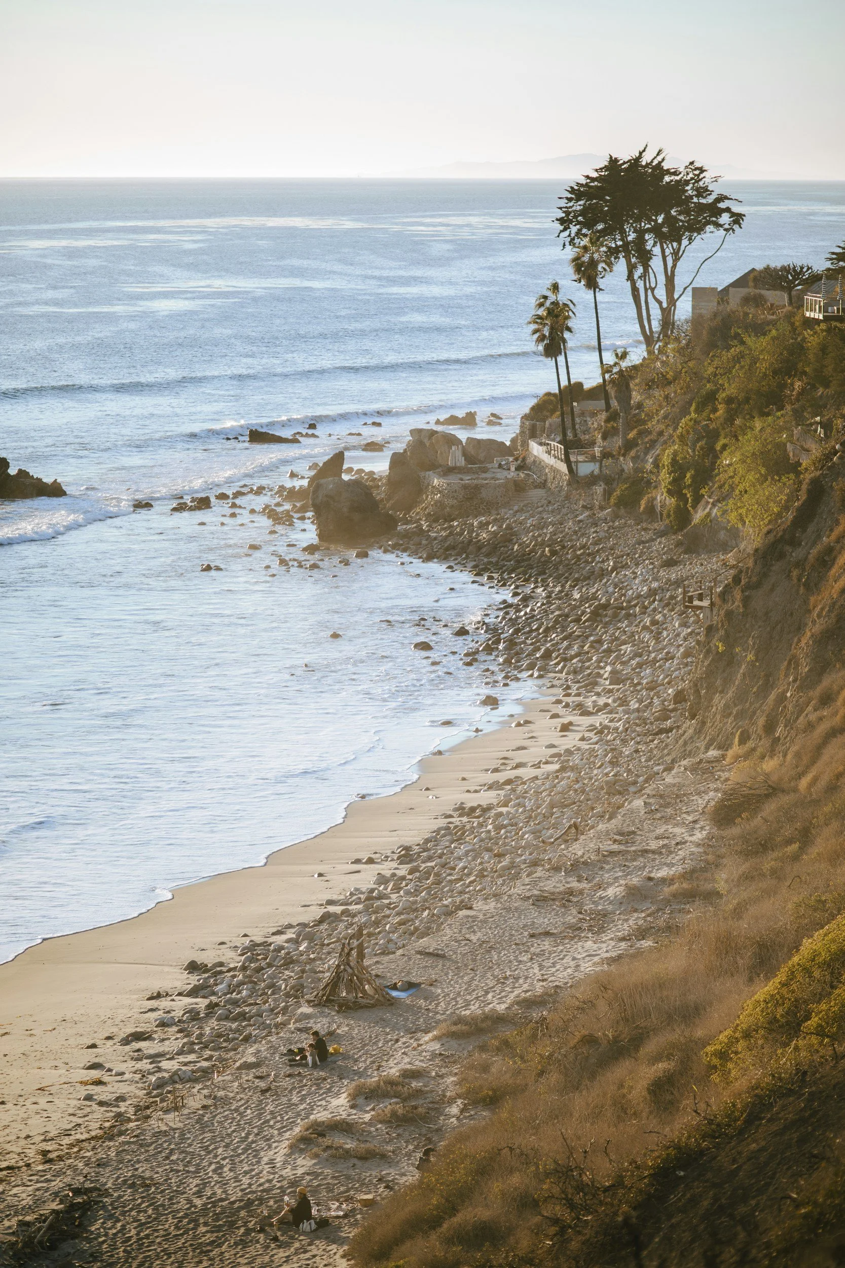 Calm California coastline with cypress trees
