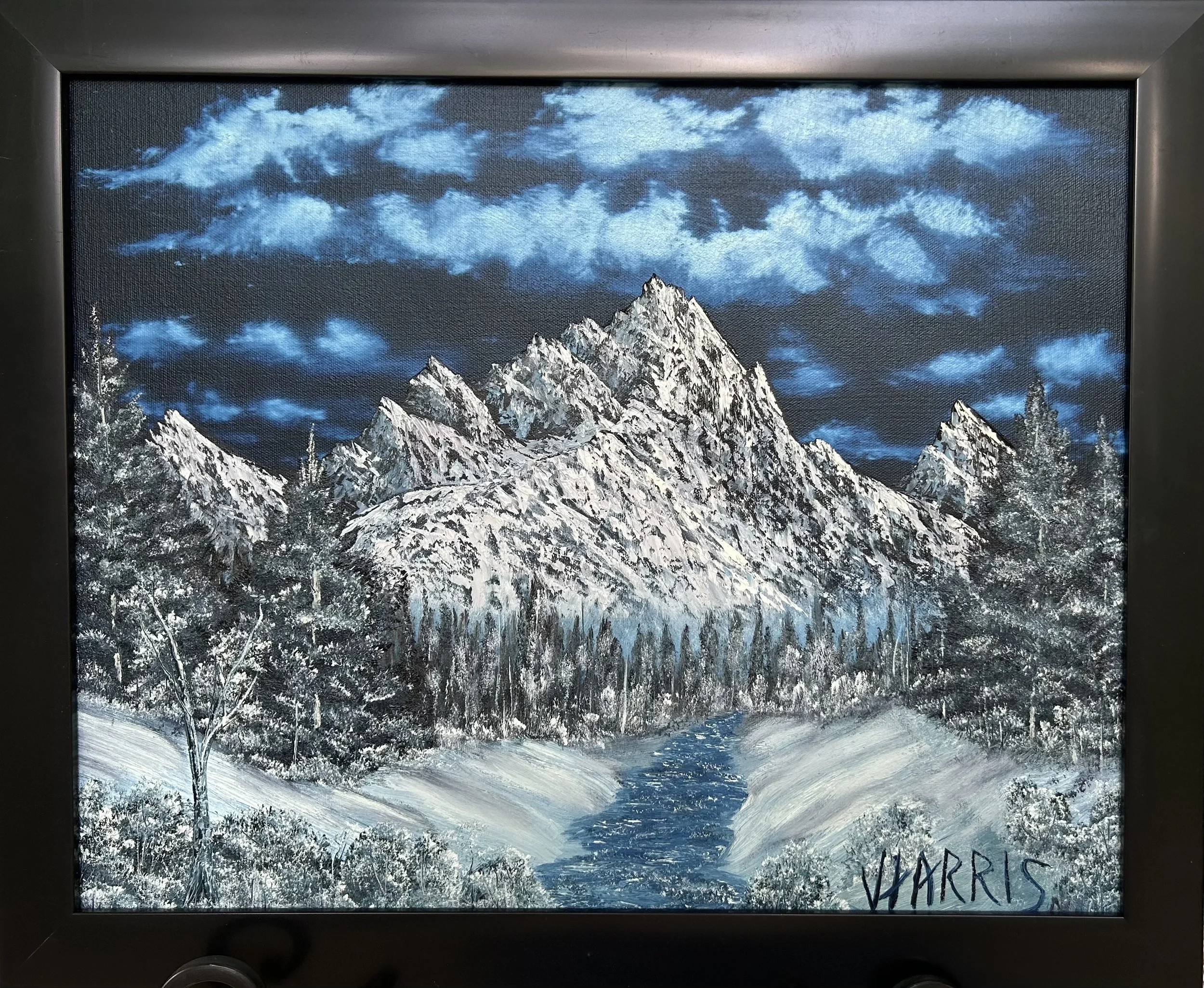 Night in the Wilderness