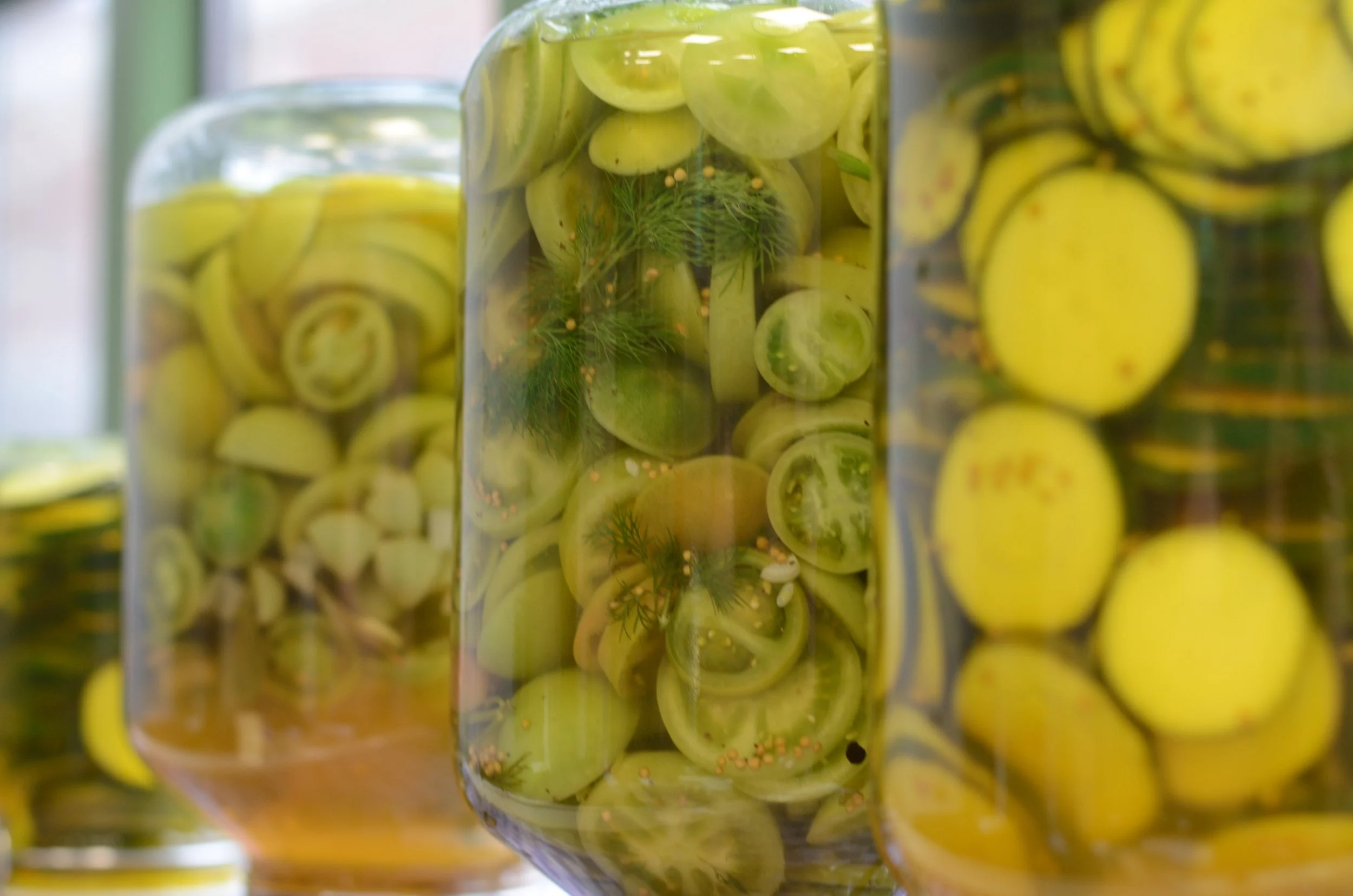 Gläser mit eingelegten grünen Tomatenscheiben, Dill und Senfkörnern in Essig