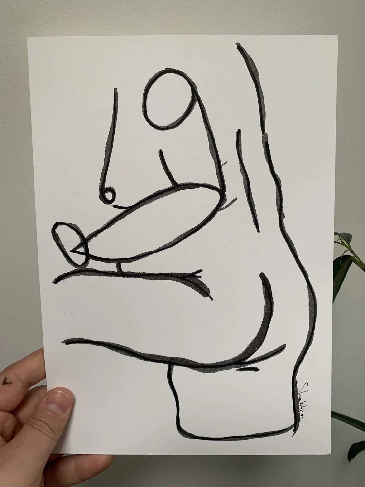 IMG_2242.JPEG