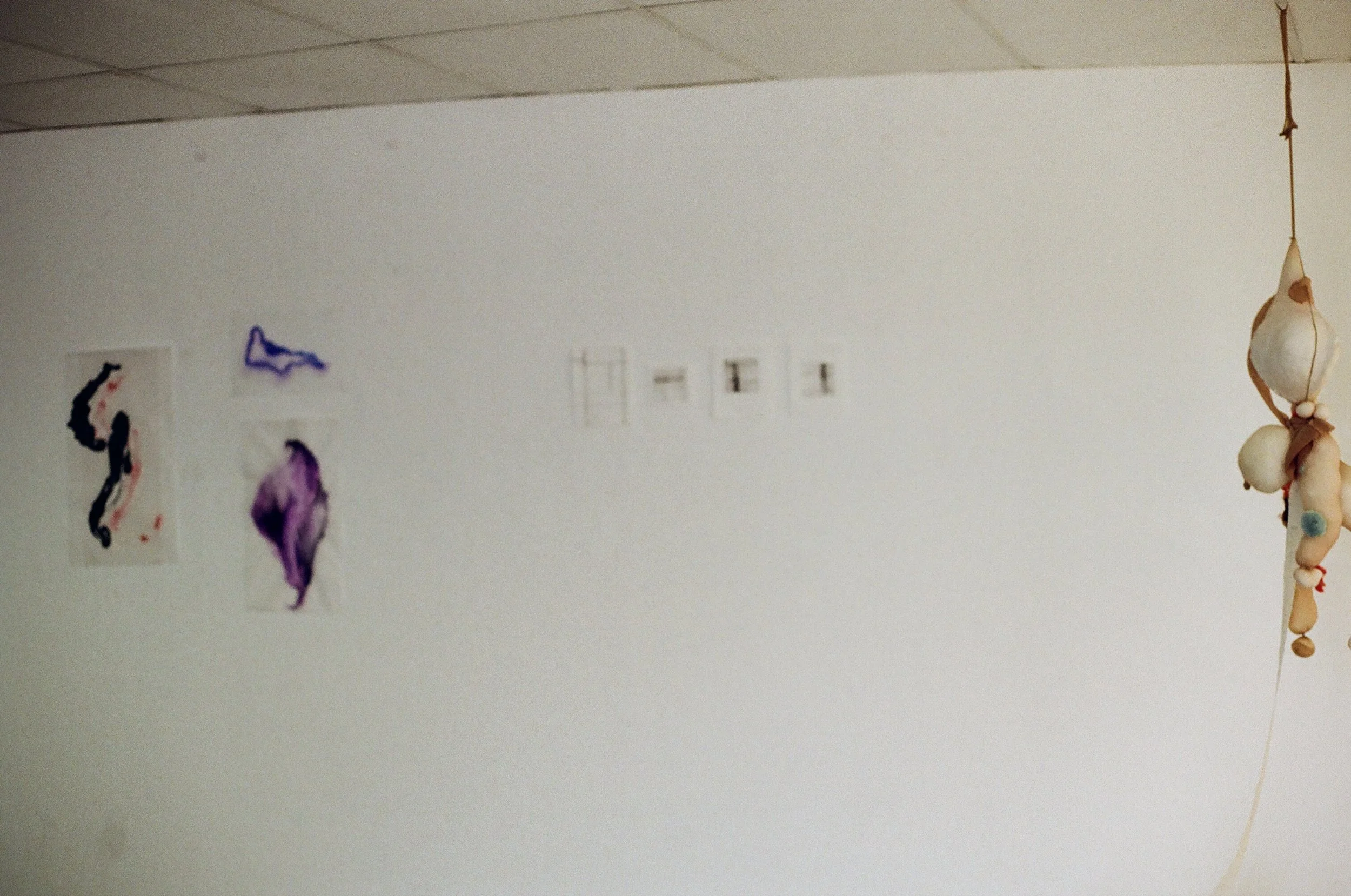 48070018.jpg