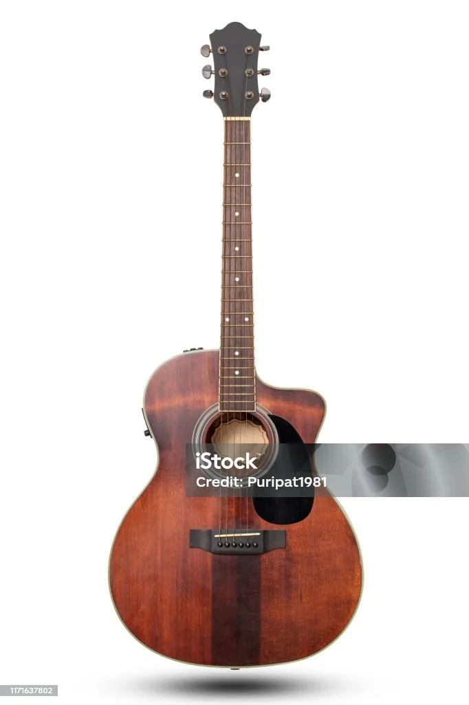 Bibson Super Acoustic Vintage Relic Road Worn Slash Signature Edition