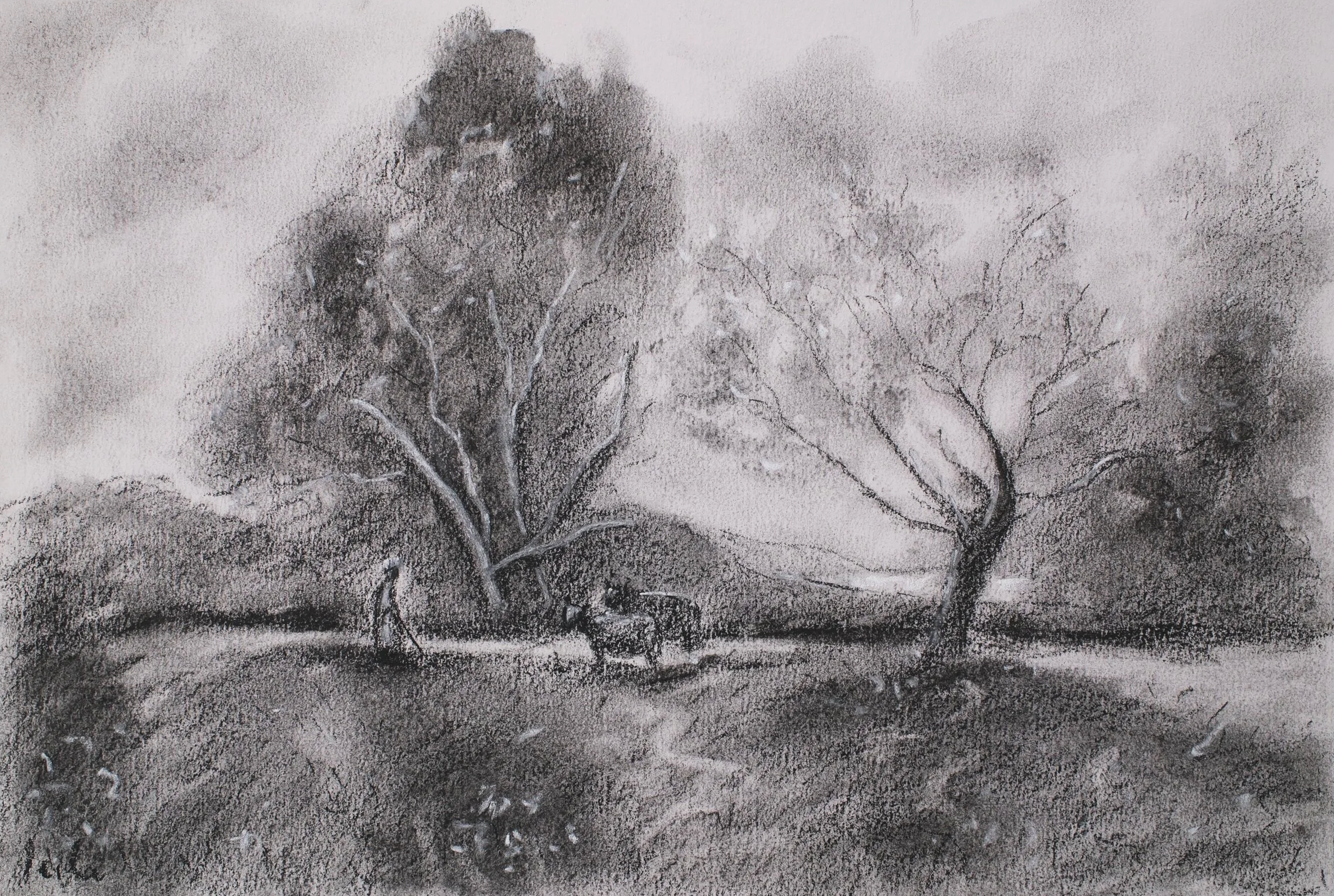 DSCF5553.png