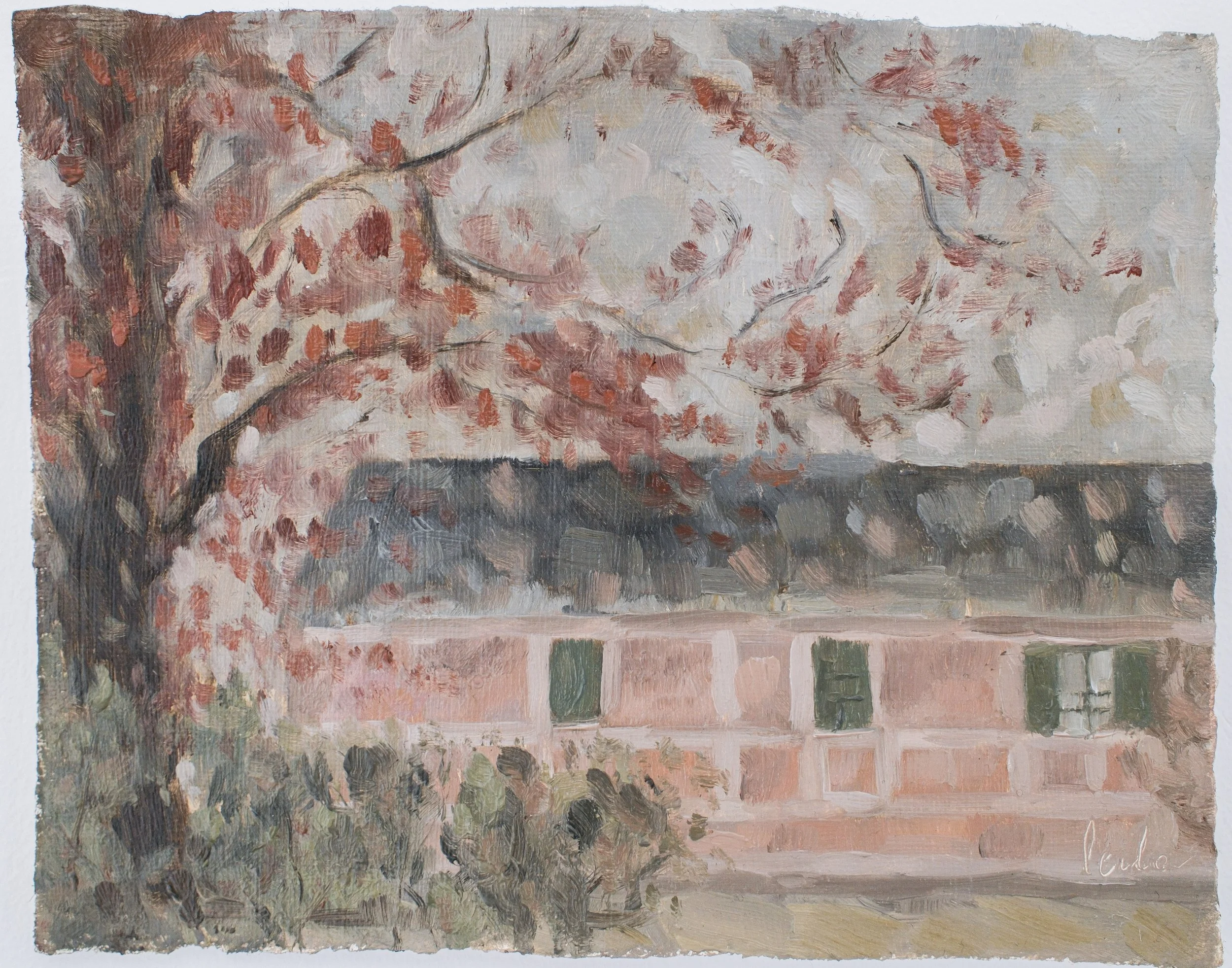 La casa de Monet (Monet's house)