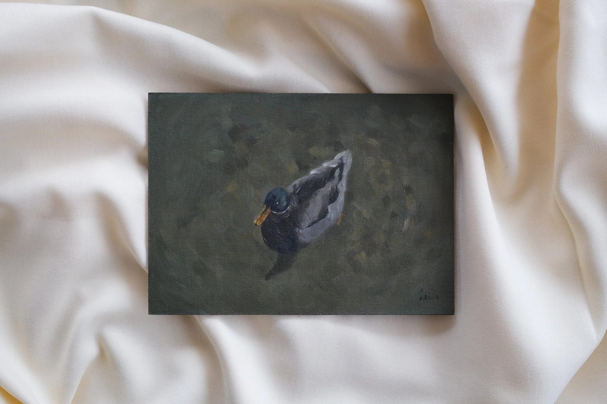 Mallard