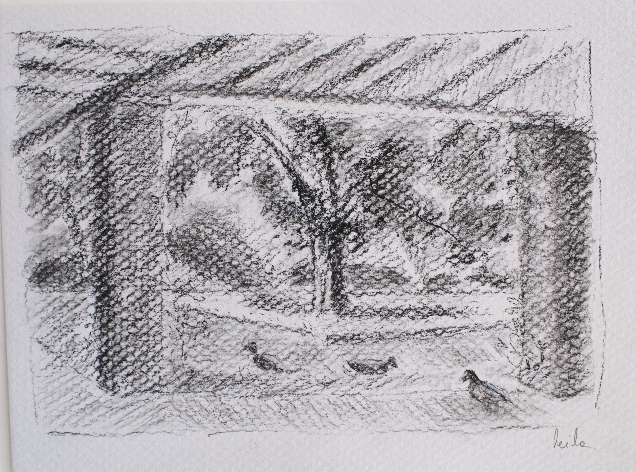 DSCF6618.jpg