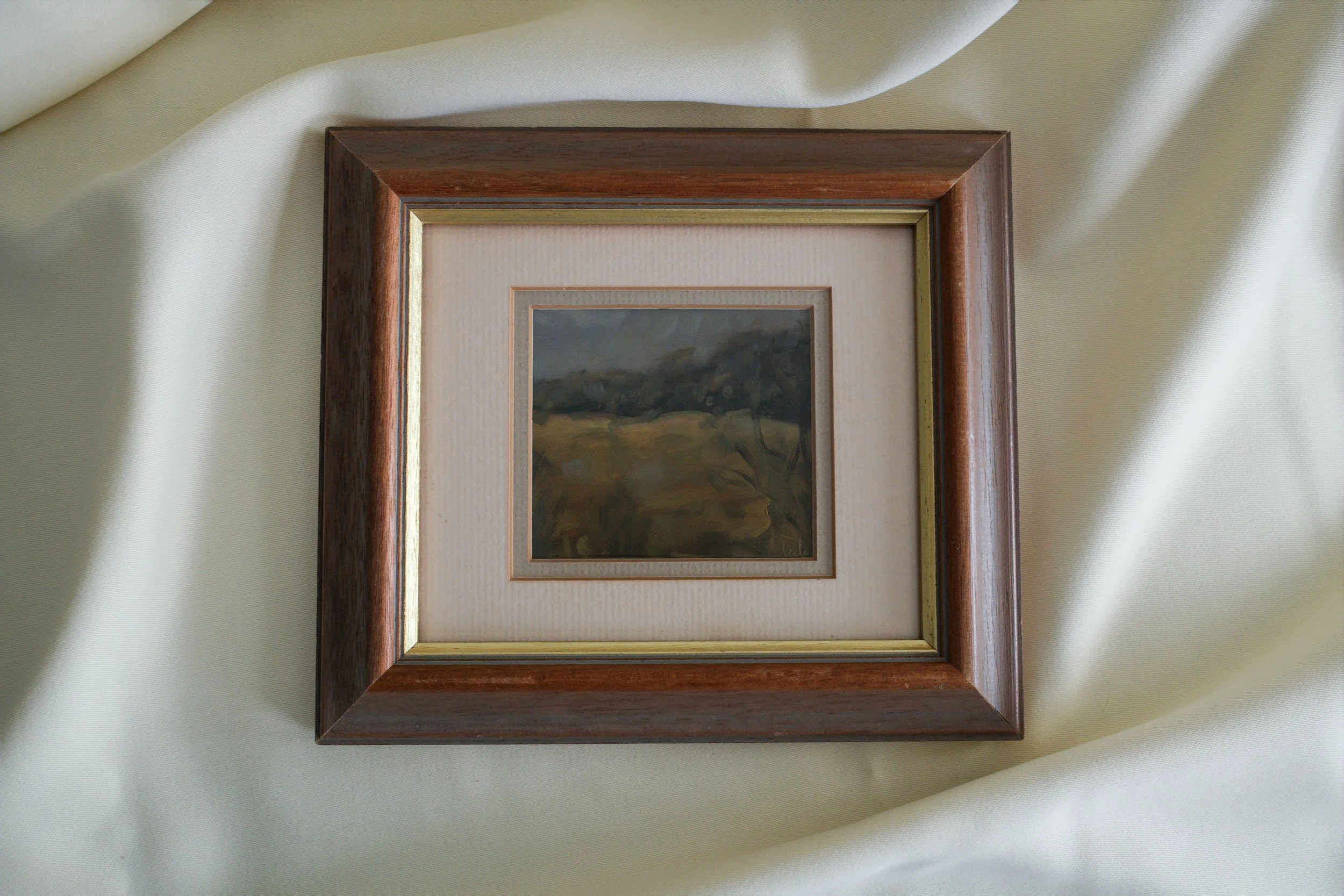 Paisaje rural (Farm landscape)