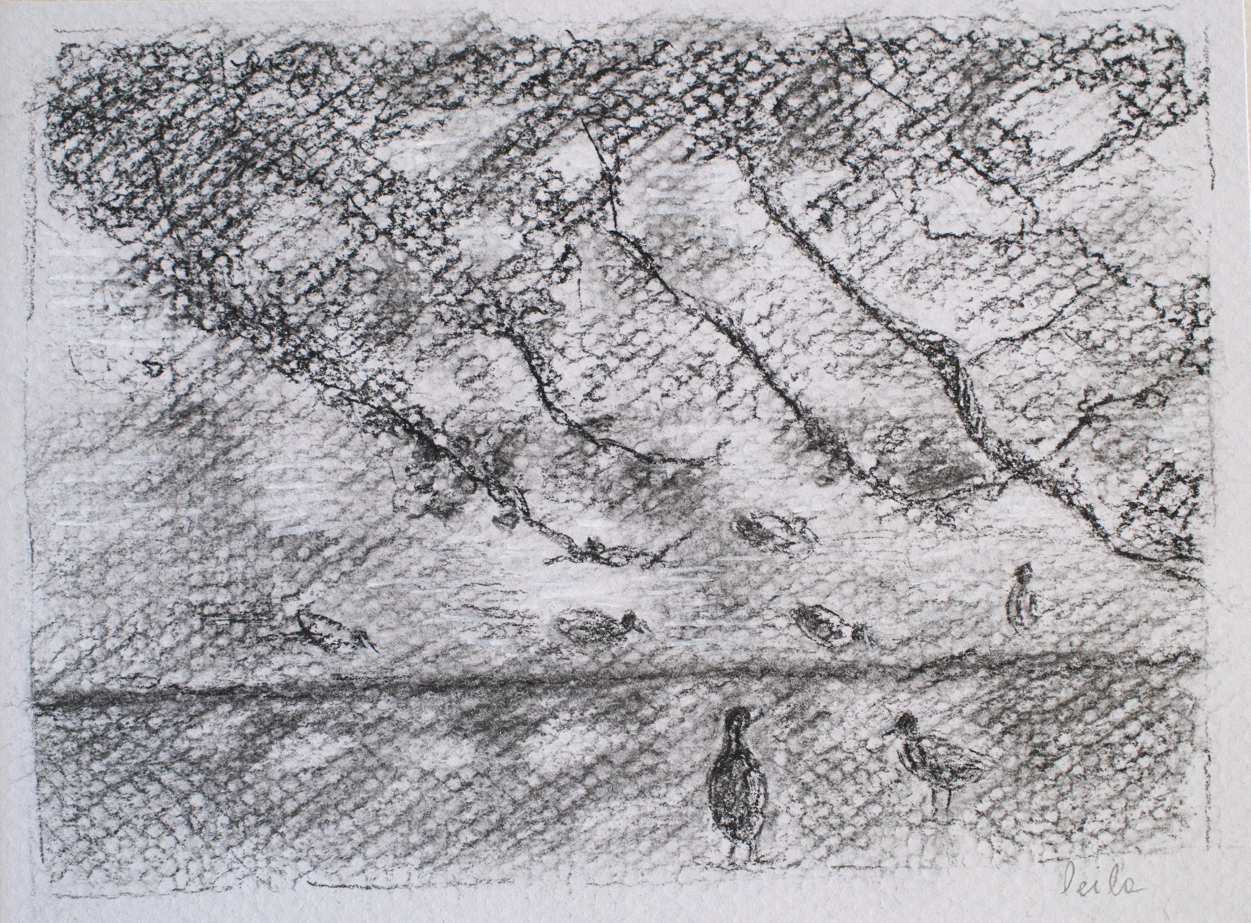 DSCF6617.jpg