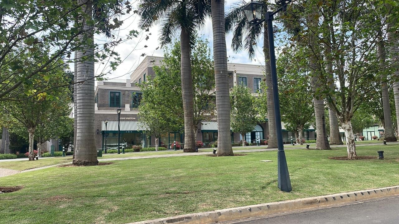 Rua com calçada, árvores e lampadas, com edifícios comerciais ao fundo.