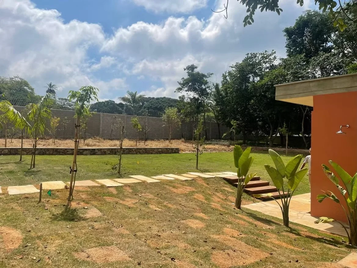 Jardim com árvores jovens plantadas, caminho de pedras, grama, parede de cimento ao fundo, céu parcialmente nublado, parte de uma casa laranja com ducha externa e plantas perto da parede.