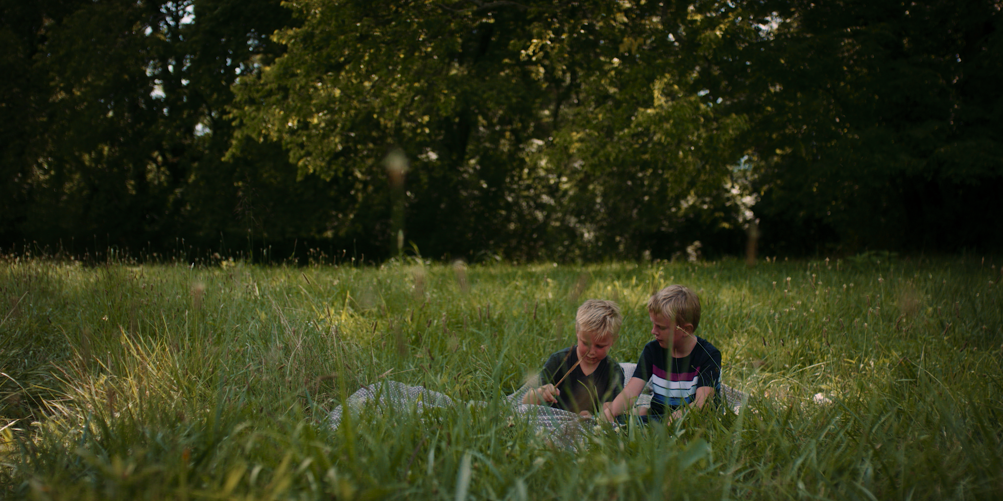 Two young boys sitting in a grassy clearing beneath large trees, looking at something in their hands and sharing a moment outdoors.