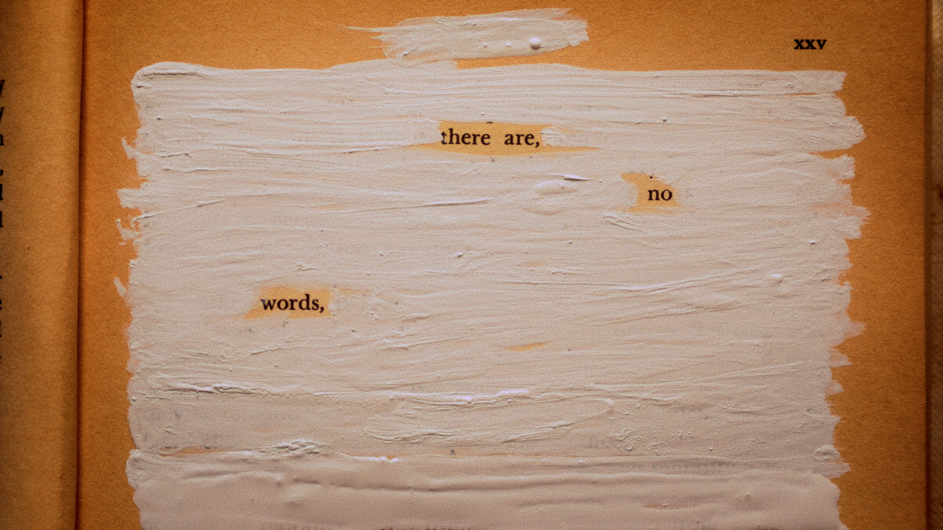 A page from a book with the text 'there are, no words,' partially covered with white paint, with the number 'XXV' in the top right corner.