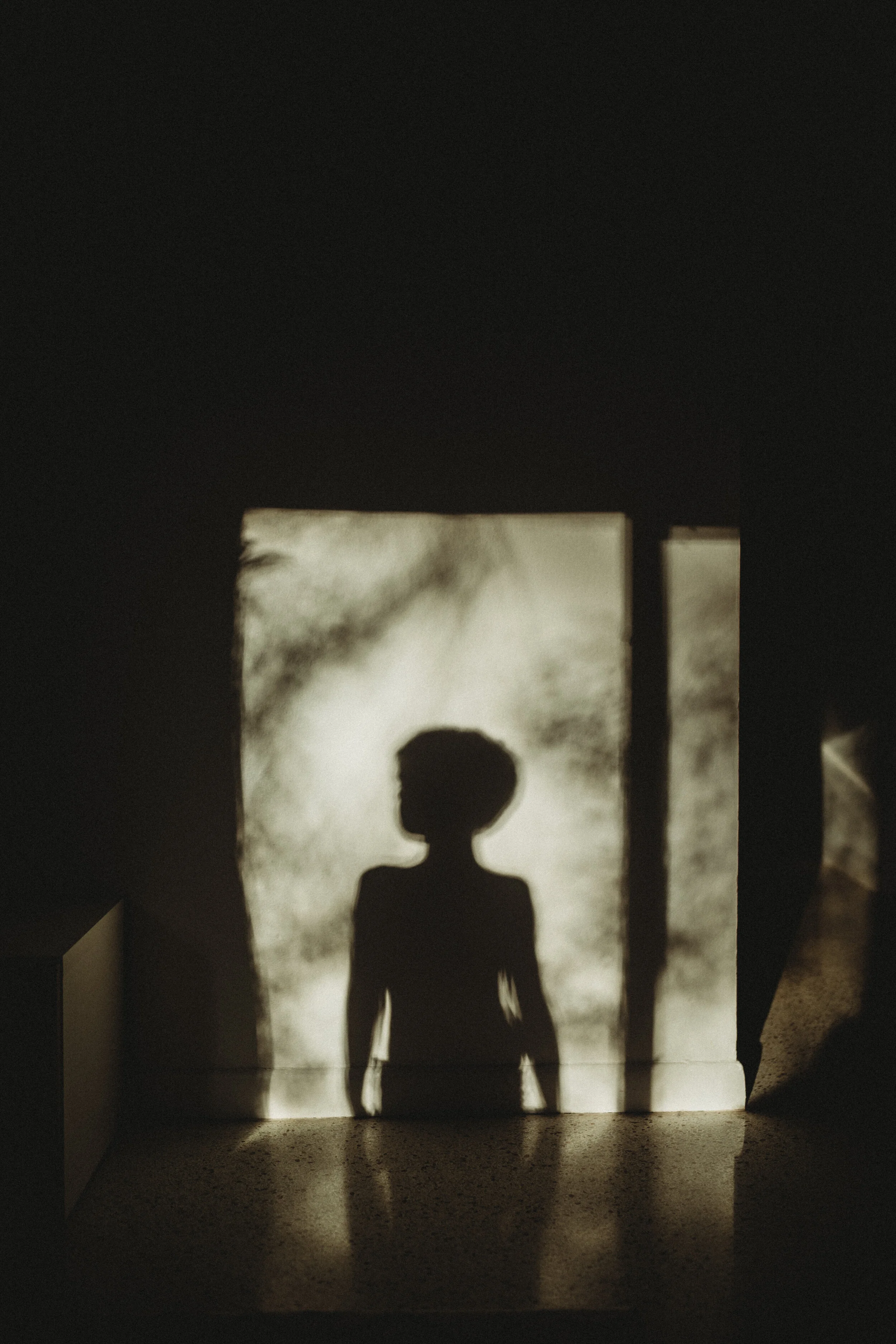 Silhouette of a person, possibly a woman, standing in front of a light source creating a shadow on a wall or screen.