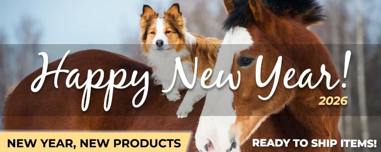 Happy New Year 2026 Email Header