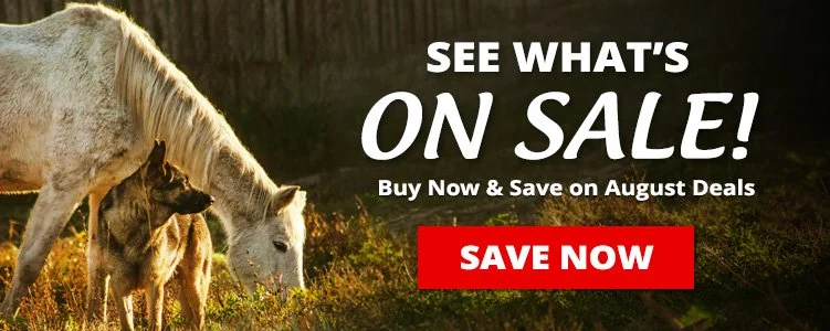 RJM Horse & Pet Sale Email Header
