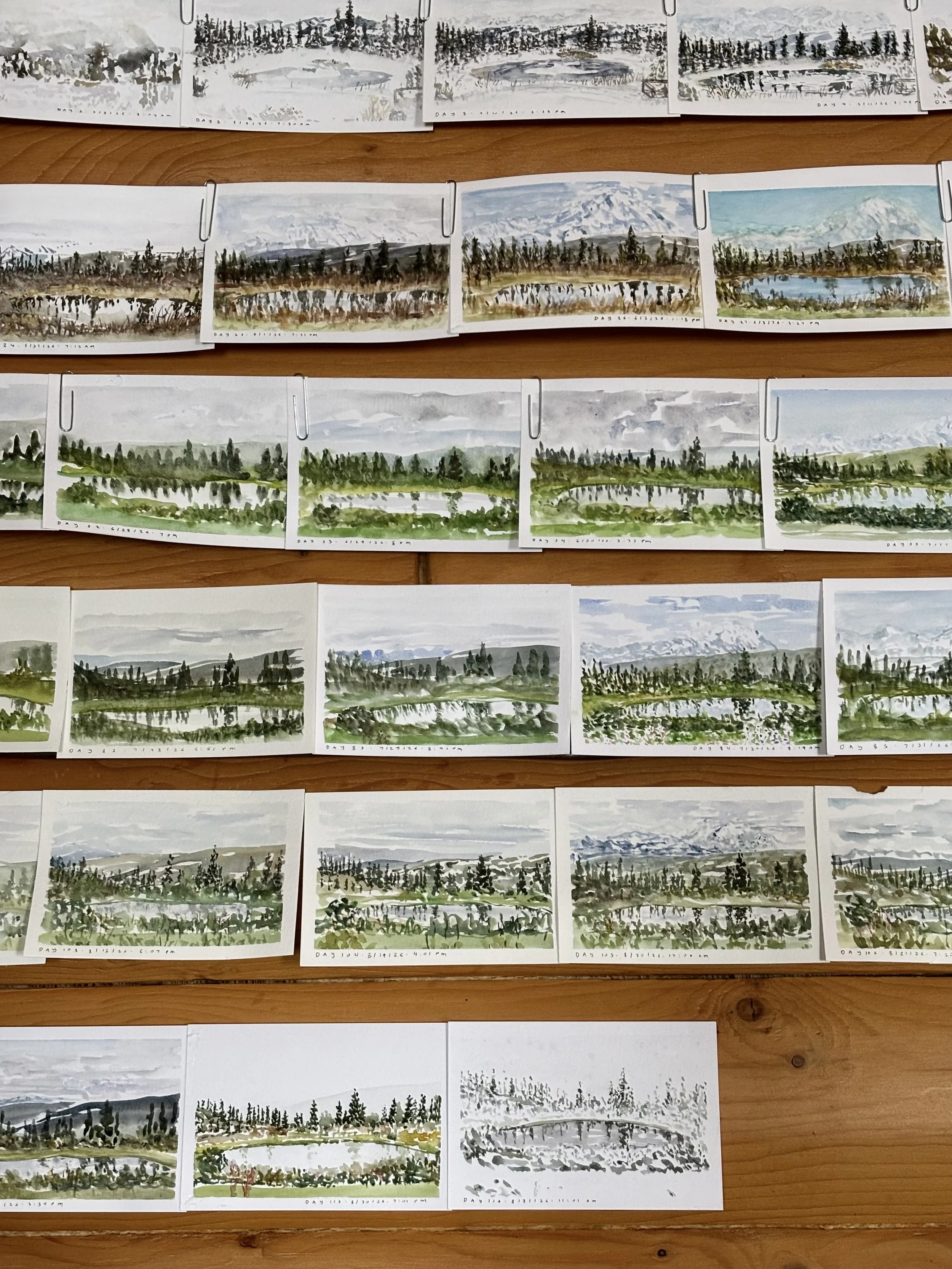 Collection of watercolor landscape paintings of forests, lakes, mountains, and skies displayed on wooden surfaces.