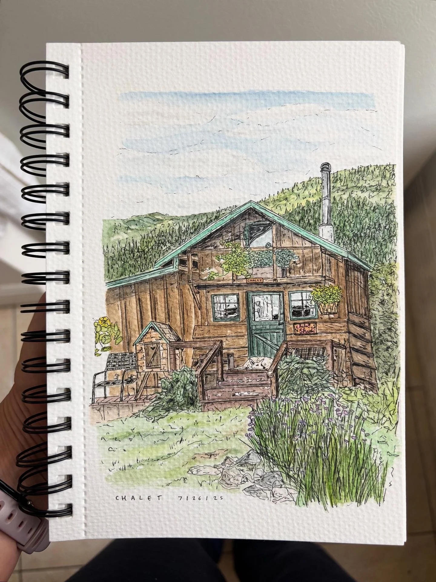 A detailed watercolor drawing of a wooden chalet set among greenery with mountains in the background, featuring a porch, potted plants, and outdoor furniture.