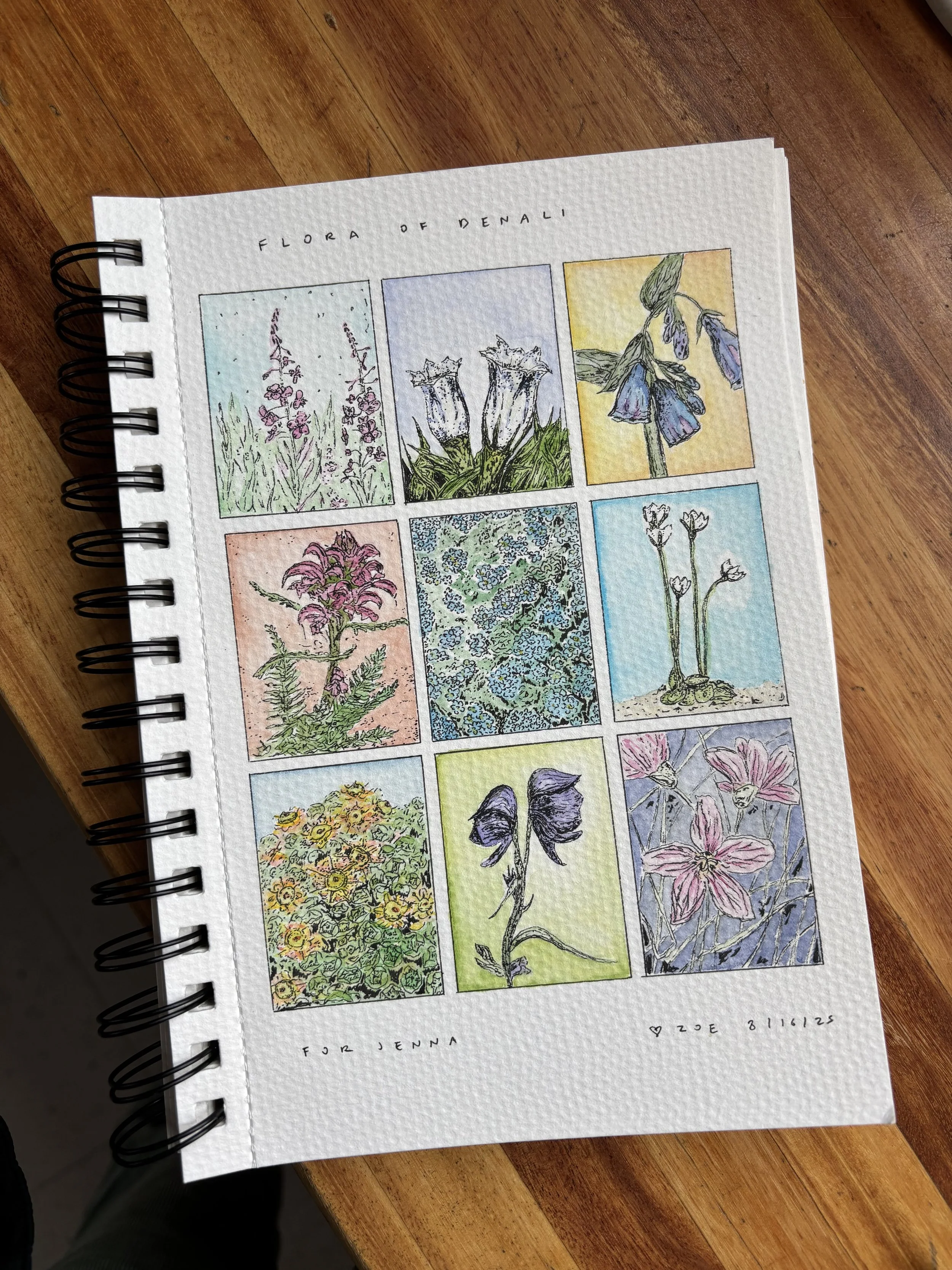 A watercolor painting of various flowers arranged in a grid, with a handwritten title 'Florida of Denali' at the top, and a dedication 'For Jenna' with a heart and the date '3-11-625' at the bottom.