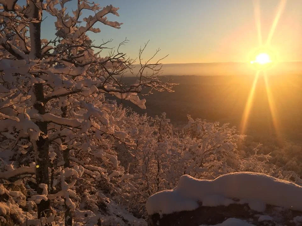 Snow-covered trees during sunset over a mountain landscape.