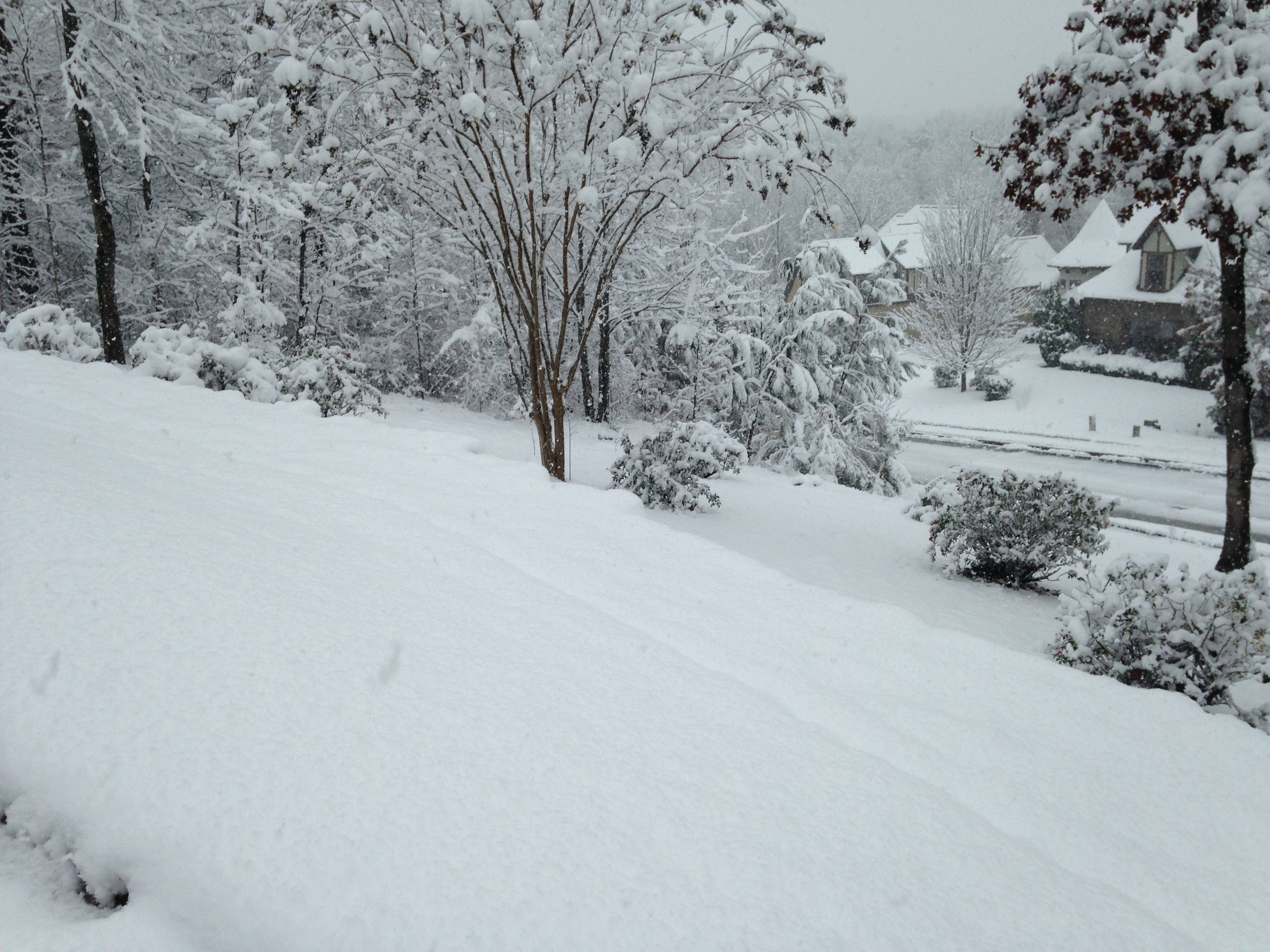 Snow-covered trees and houses on a winter day with a cloudy sky.