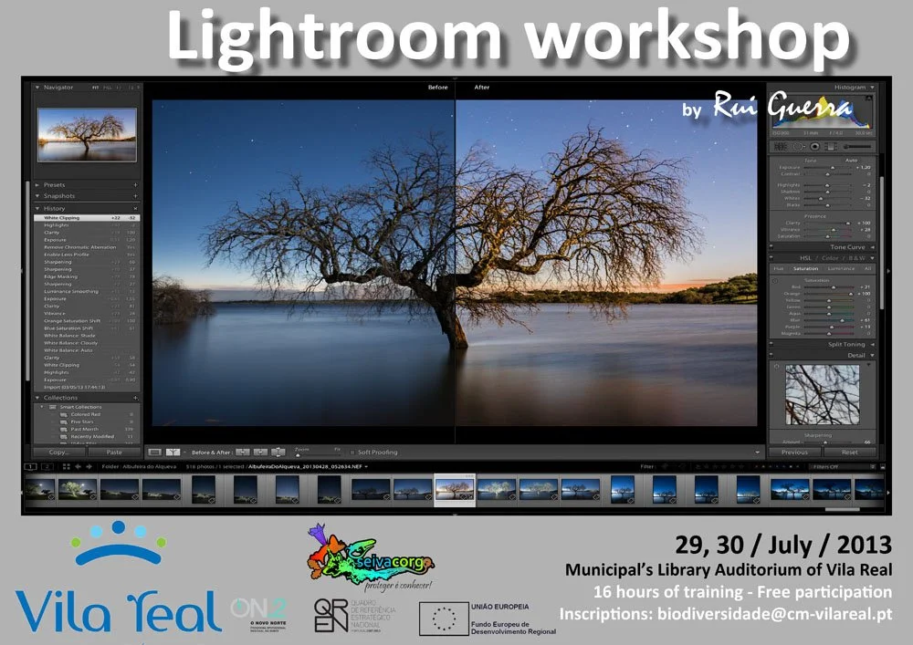 pub-workshop-lightroom-july2013-en-web.jpg