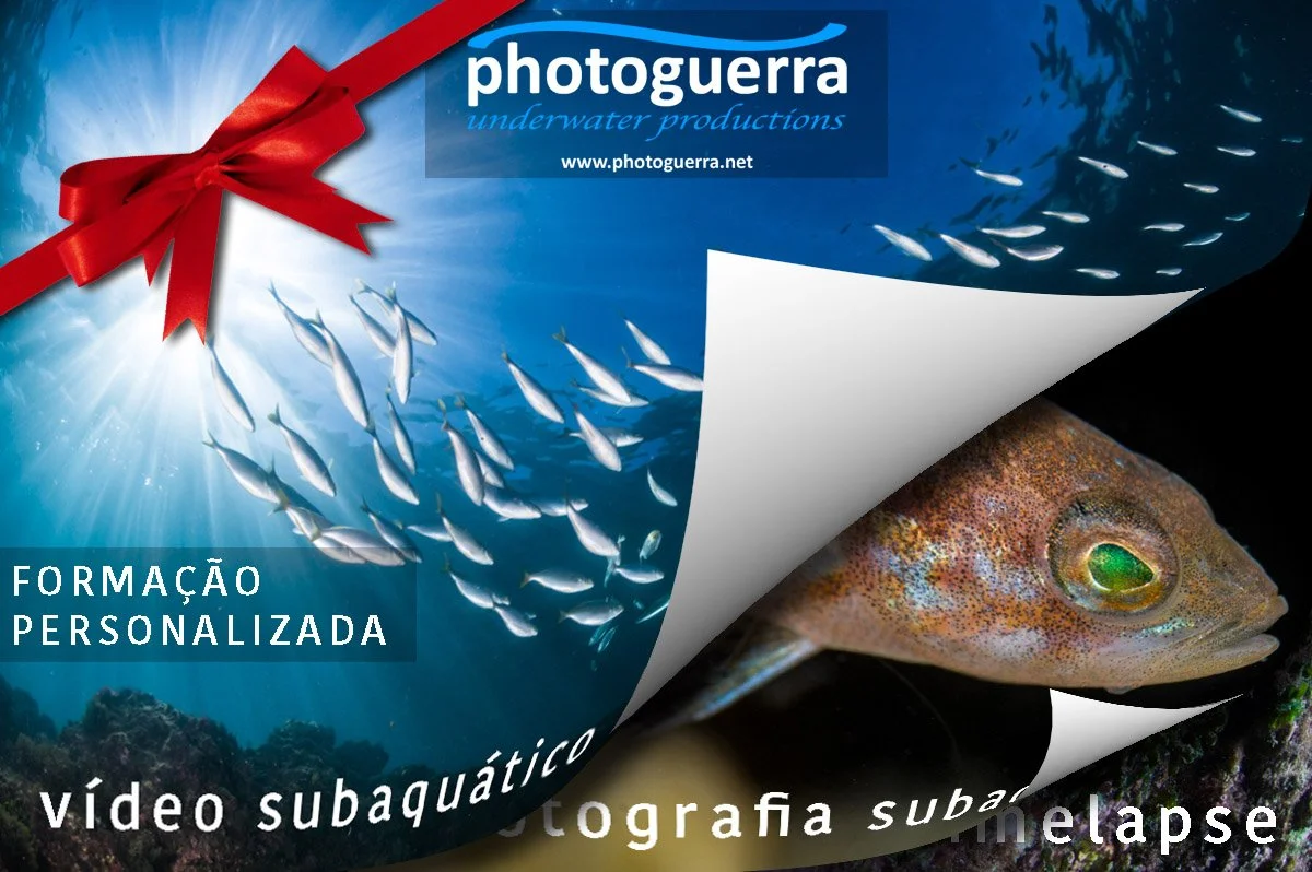 pub-formação-diversa.jpg
