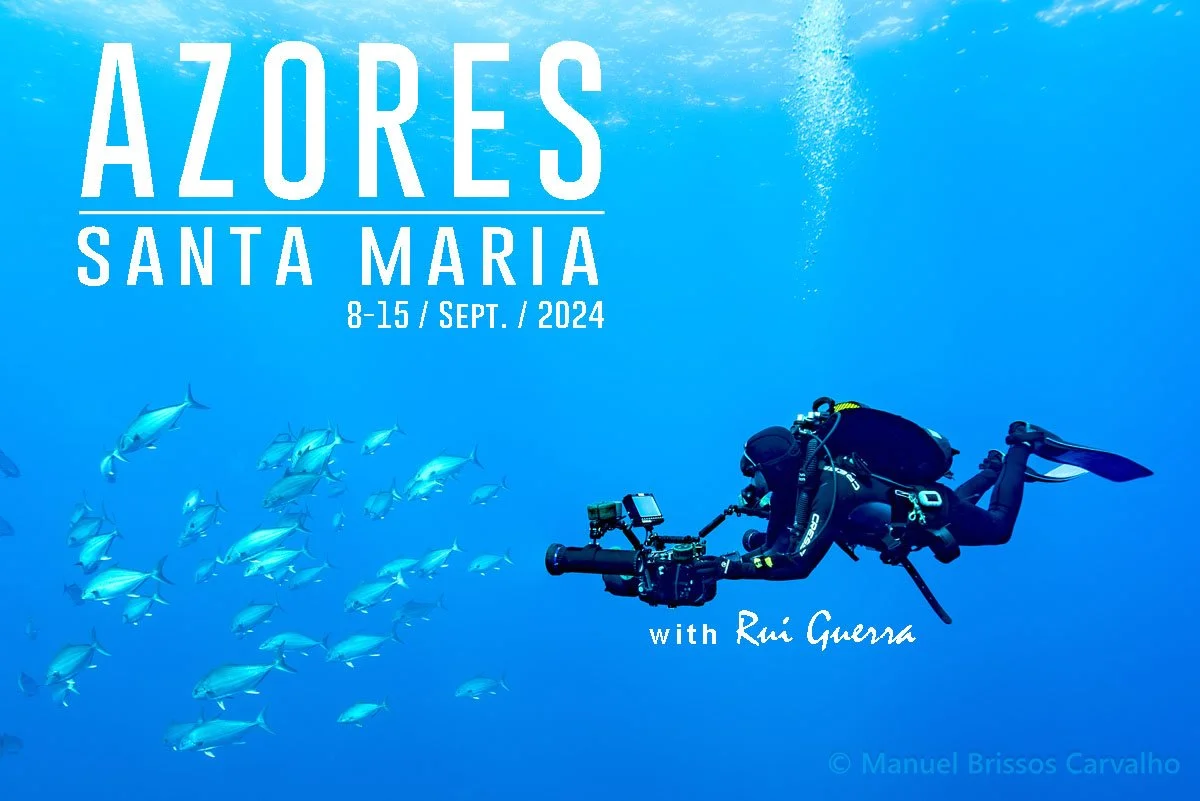 pub-azores-santa-maria-2024.jpg