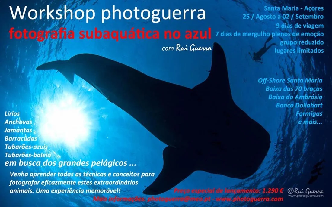 Pub Workshop fotografia no azul_pequeno.jpg