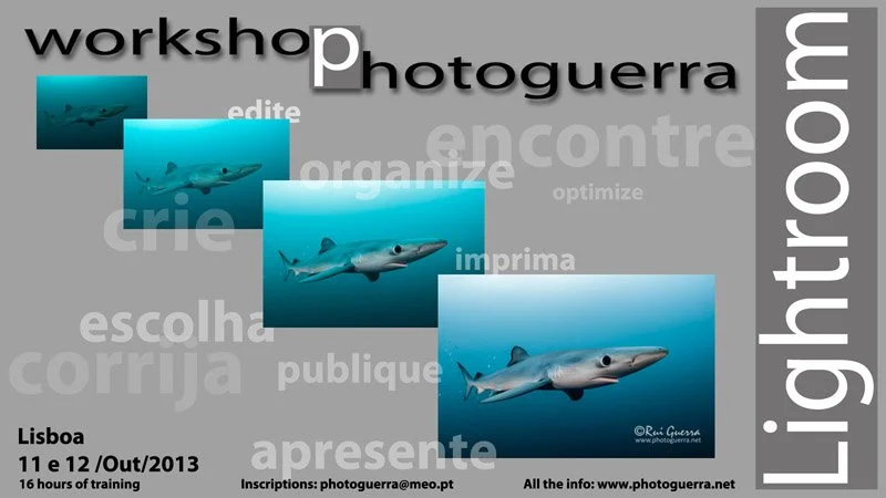 pub-lightroom-out-2013-en.jpg