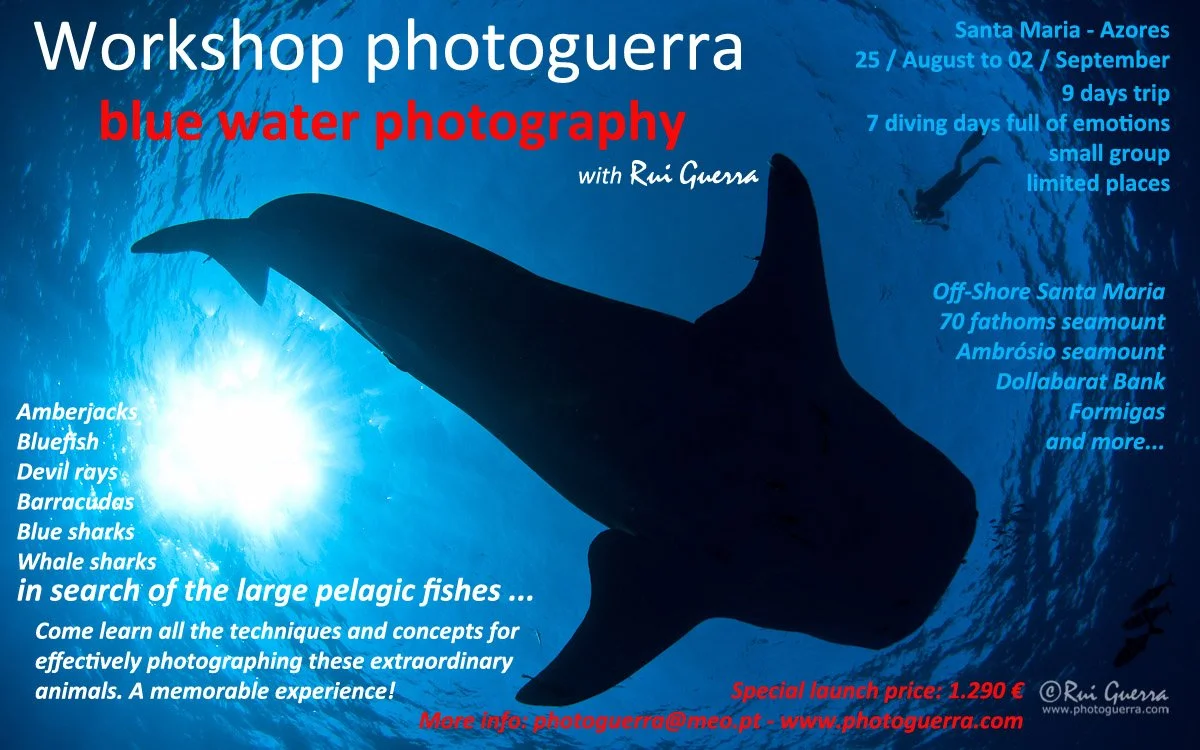 pub-workshop-azul_en.jpg