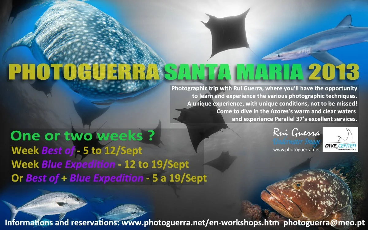 Pub Photoguerra Santa Maria 2013_EN_ver2.jpg