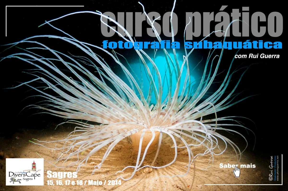 rui-guerra-pub-curso-sagres-maio-2014.jpg