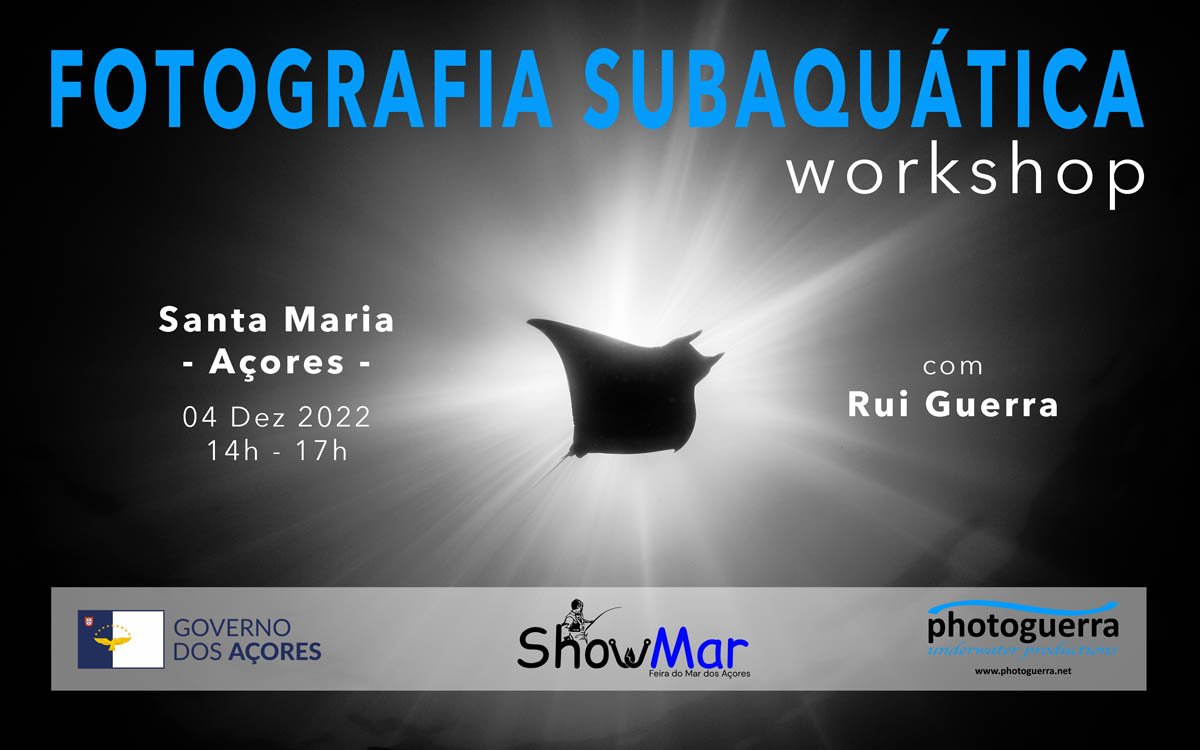 cartaz-workshop-santa-maria.jpg