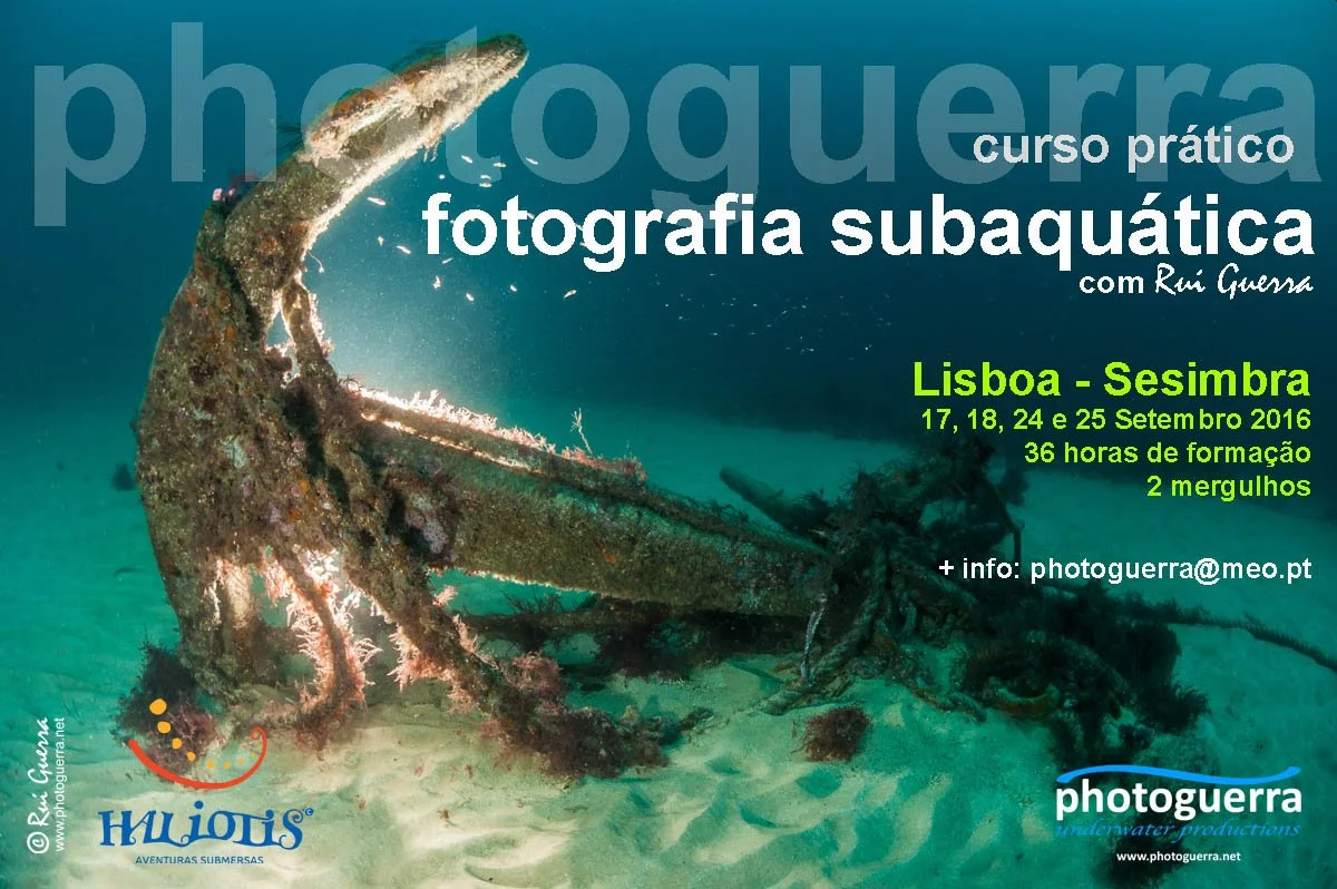 pub curso Set 2016.jpg