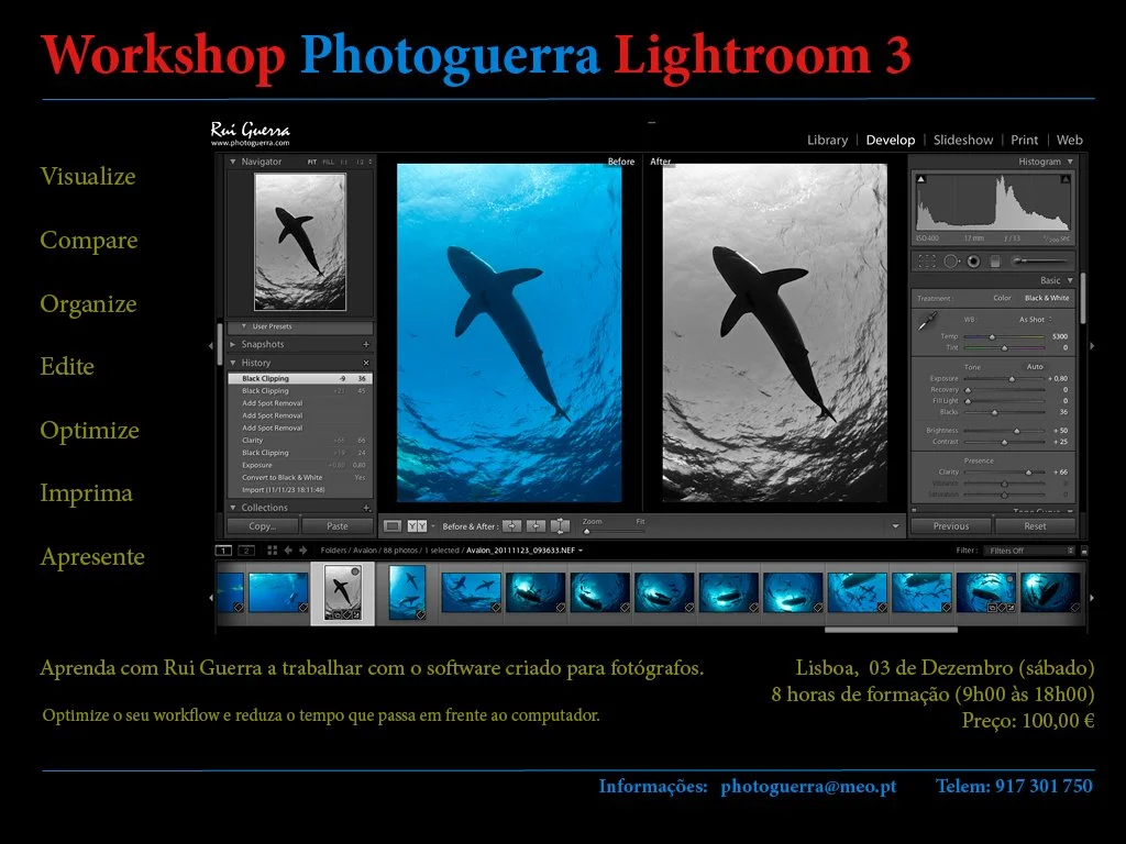 Public Lightroom 2.jpg