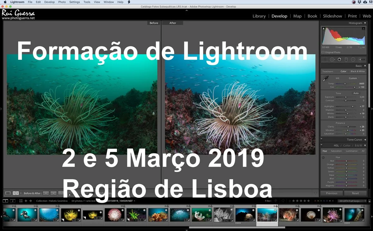 pub-lightroom-mar2019.jpg