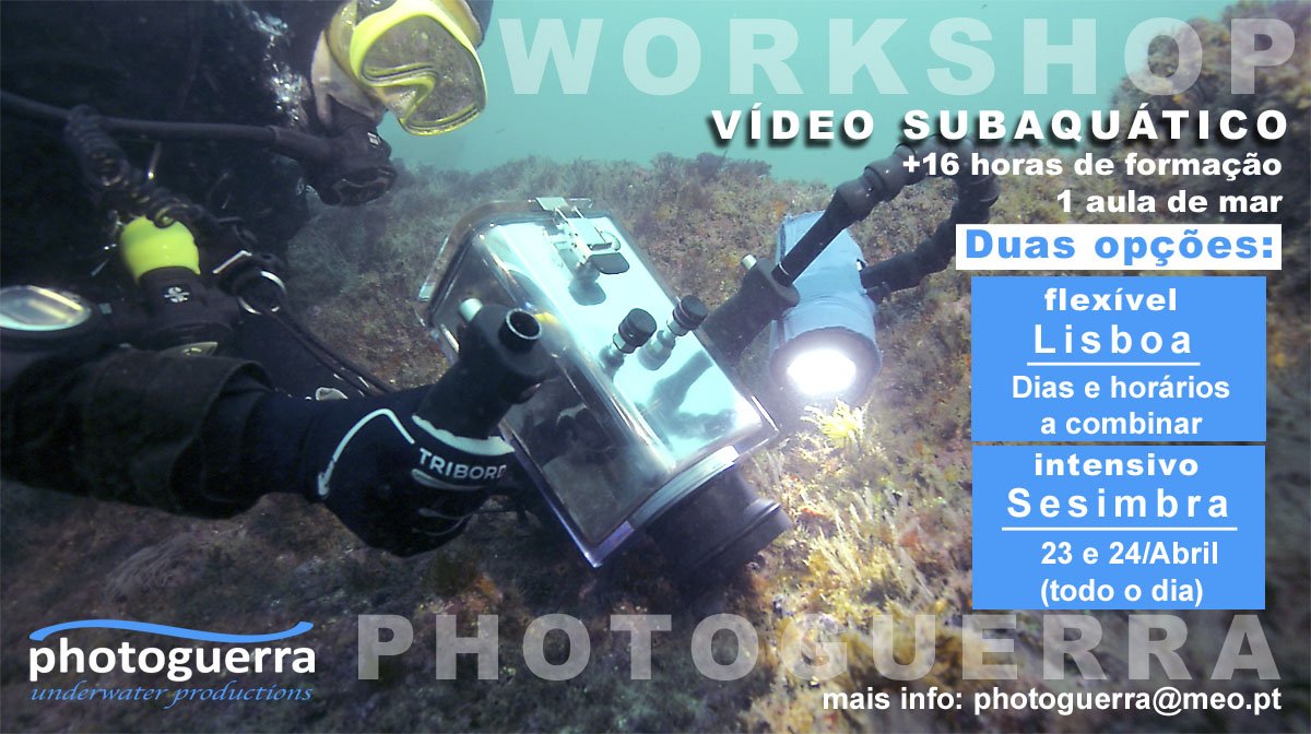 pub-workshop-video-subaquatico-abril-2016.jpg
