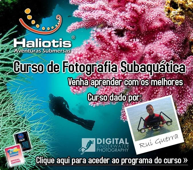 curso haliotis.jpg