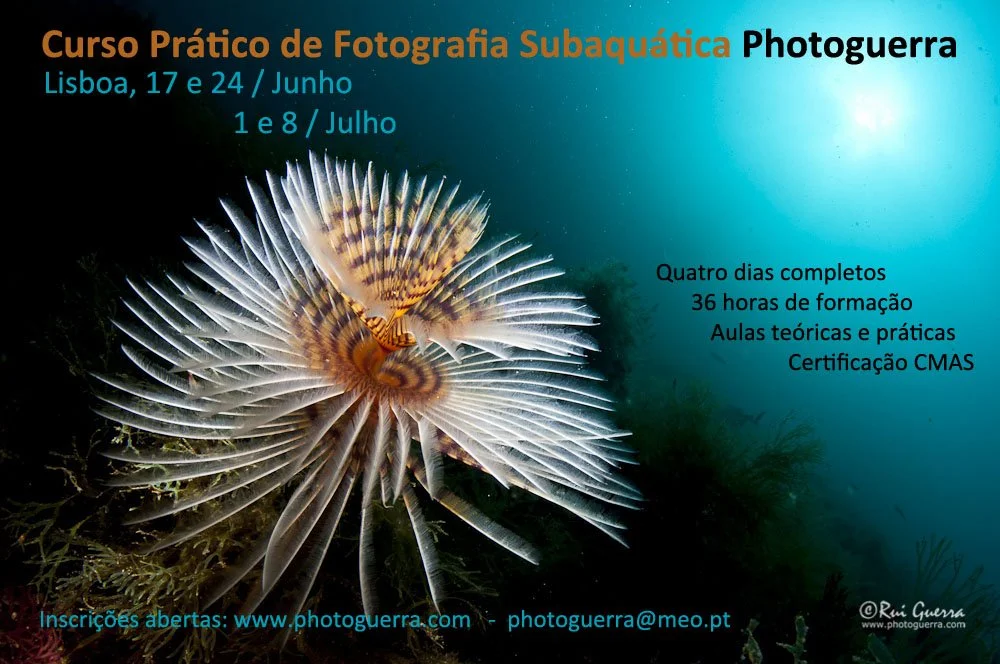 Cartaz curso-junho-2012.jpg