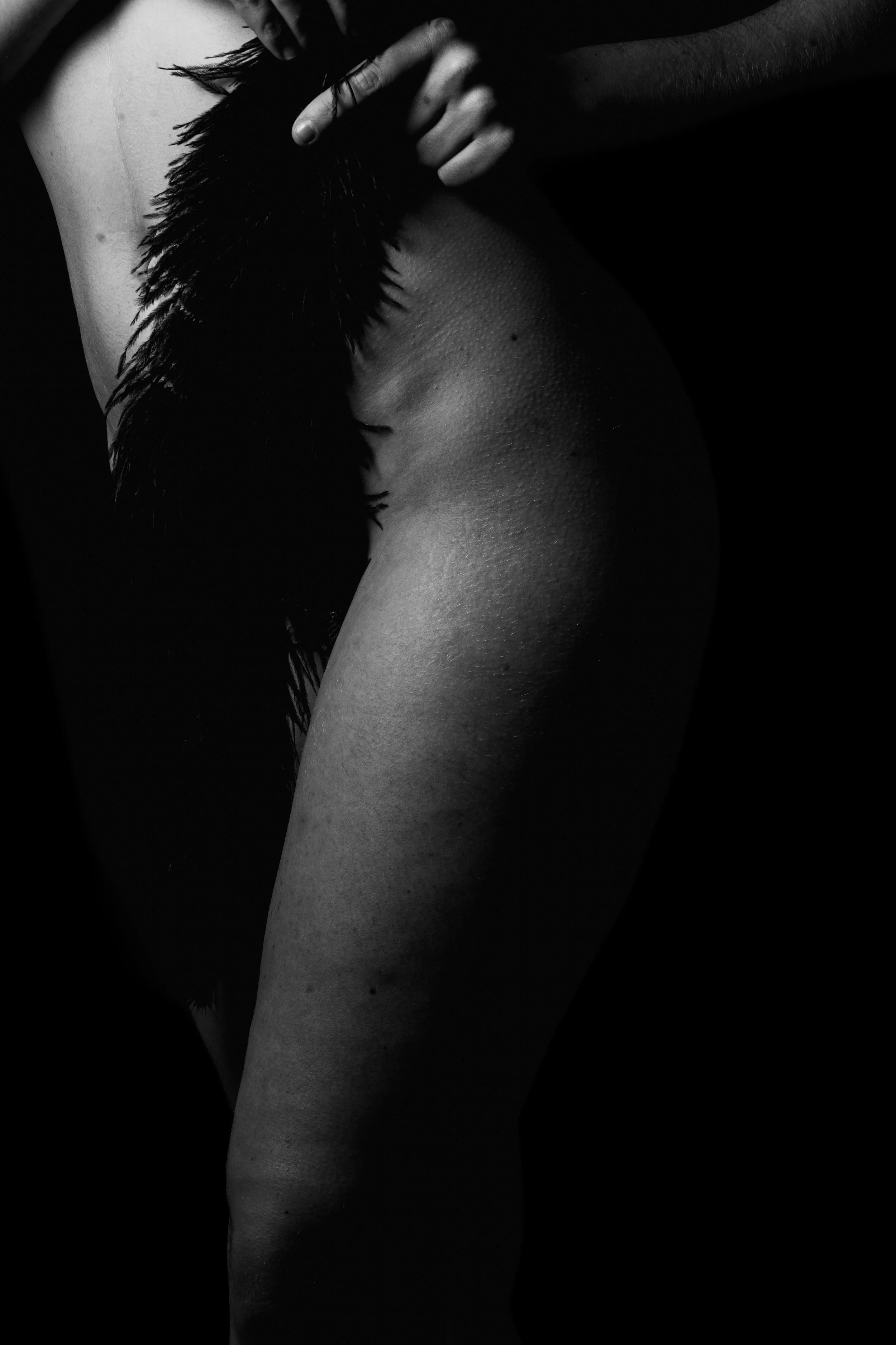 A7401492-2.jpg