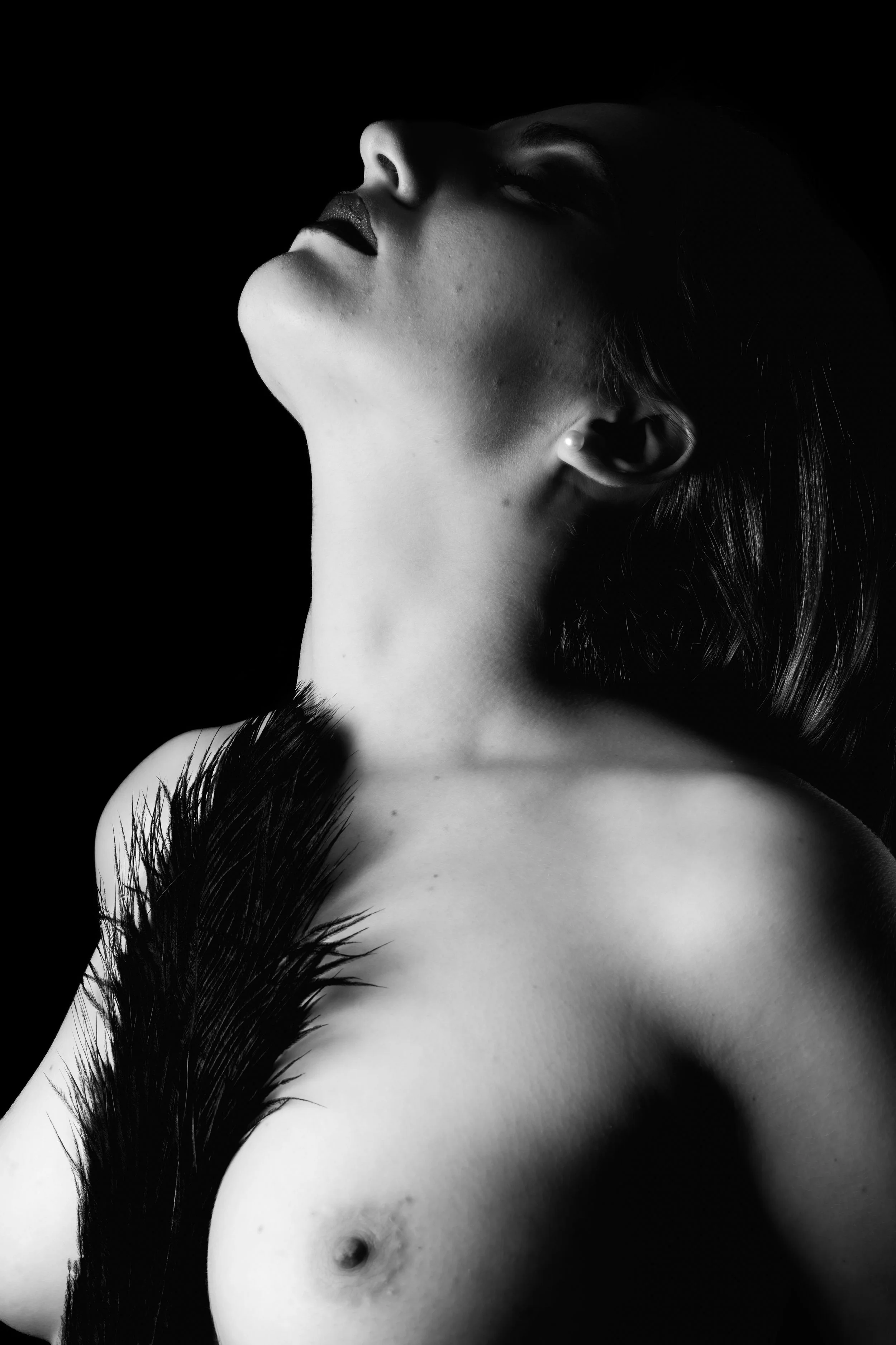 A7401481-2.jpg