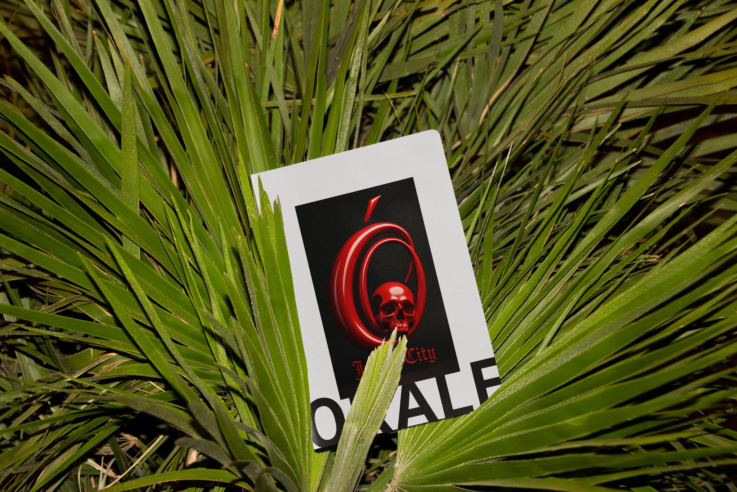 Orale book.jpg