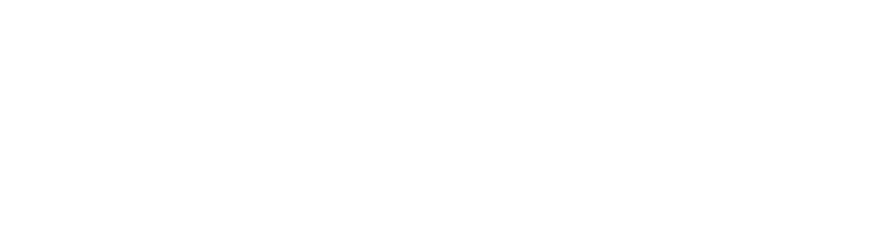Vieira's Partners
