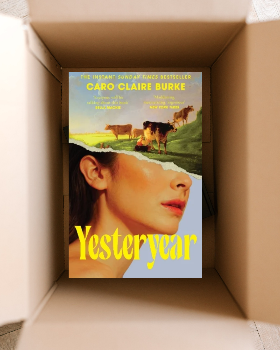 Contemporary Literature Box